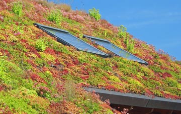 Helmshore living roof systems