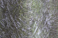 Helmshore fibreglass roof work